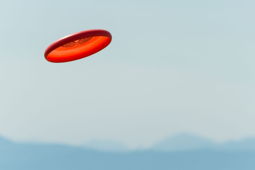 frisbee